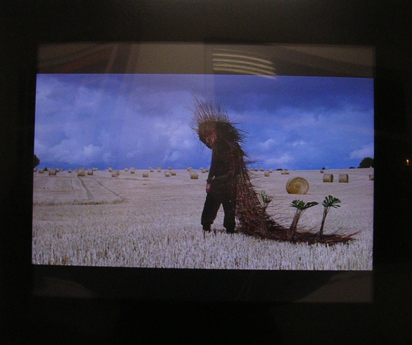 Tenue d'explorateur (été) - 2012
