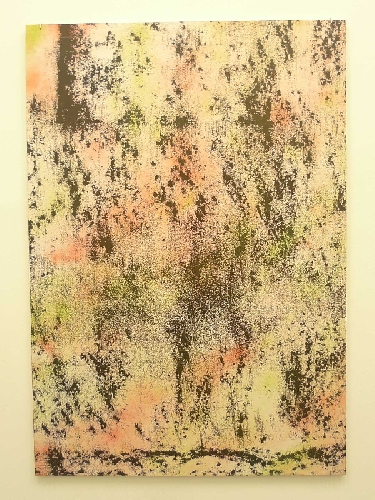 SOL #5 - 2013