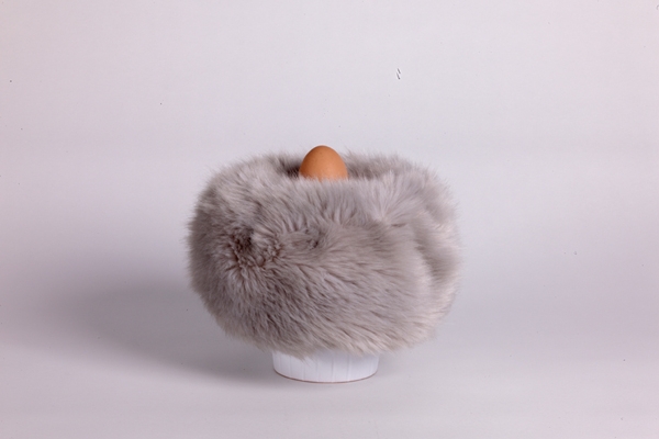 L'oeuf - 2010